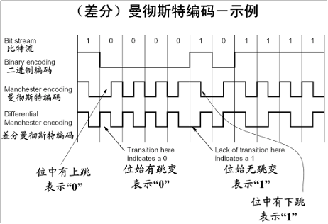 编码